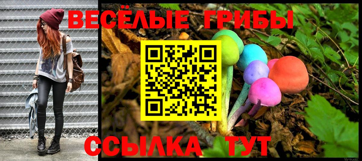 Галлюциногенные грибы Magic Shrooms  Вход с VPN  Благодарный 